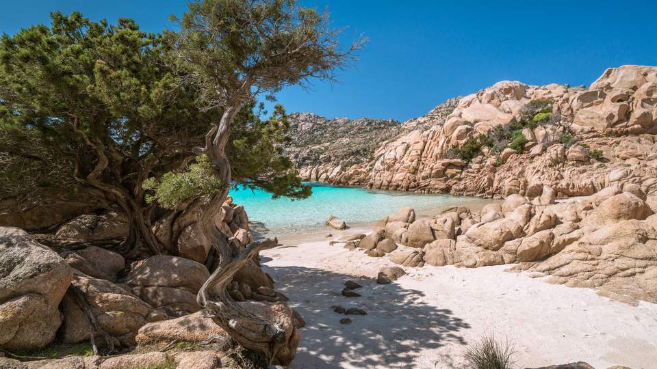 Cala Coticcio (Caprera)_3.jpeg