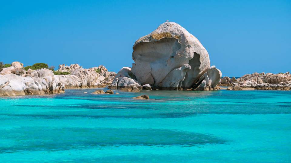 Testa del Polpo (La Maddalena).jpeg